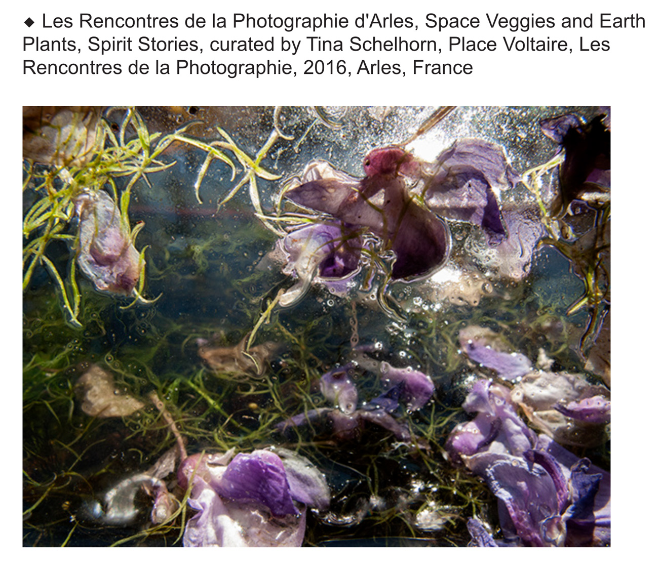 Les Rencontres de la Photographie d’Arles, Space Veggies and Earth Plants, Spirit Stories, curated by Tina Schelhorn, Place Voltaire, Arles, France