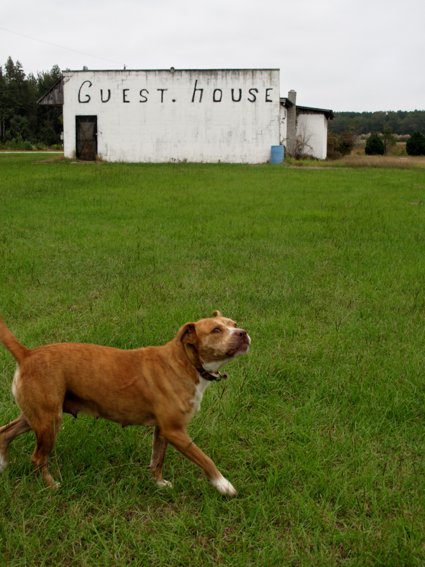49.SouthernStories35